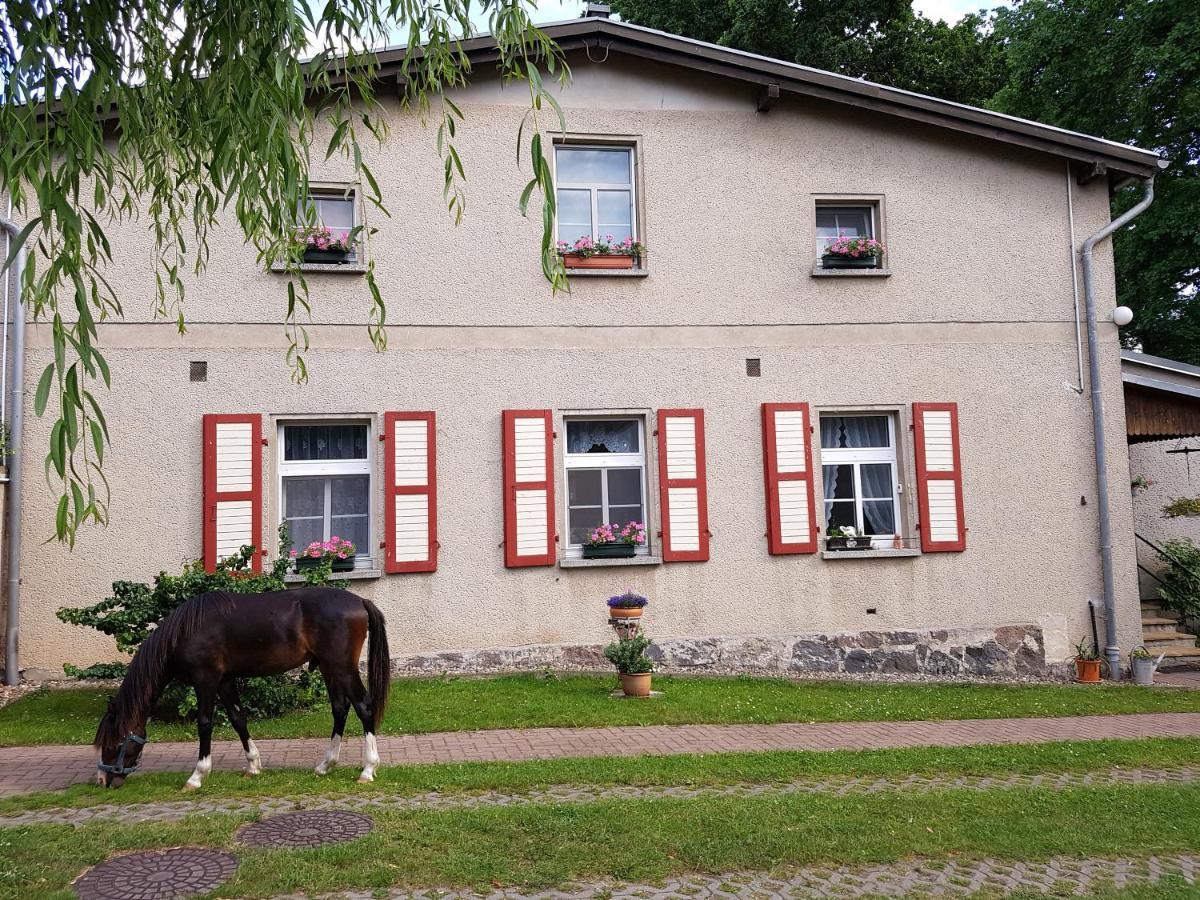 Ferienwohnung Siebmann Neuruppin Exteriör bild